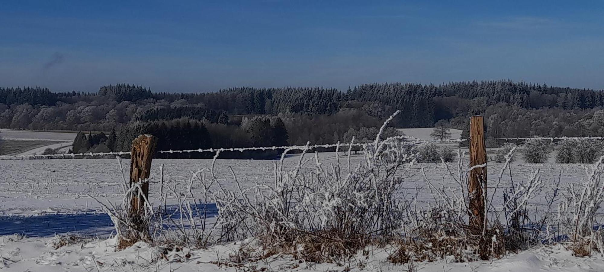 Le Sentier Des Lavandes Vresse-sur-Semois Eksteriør bilde