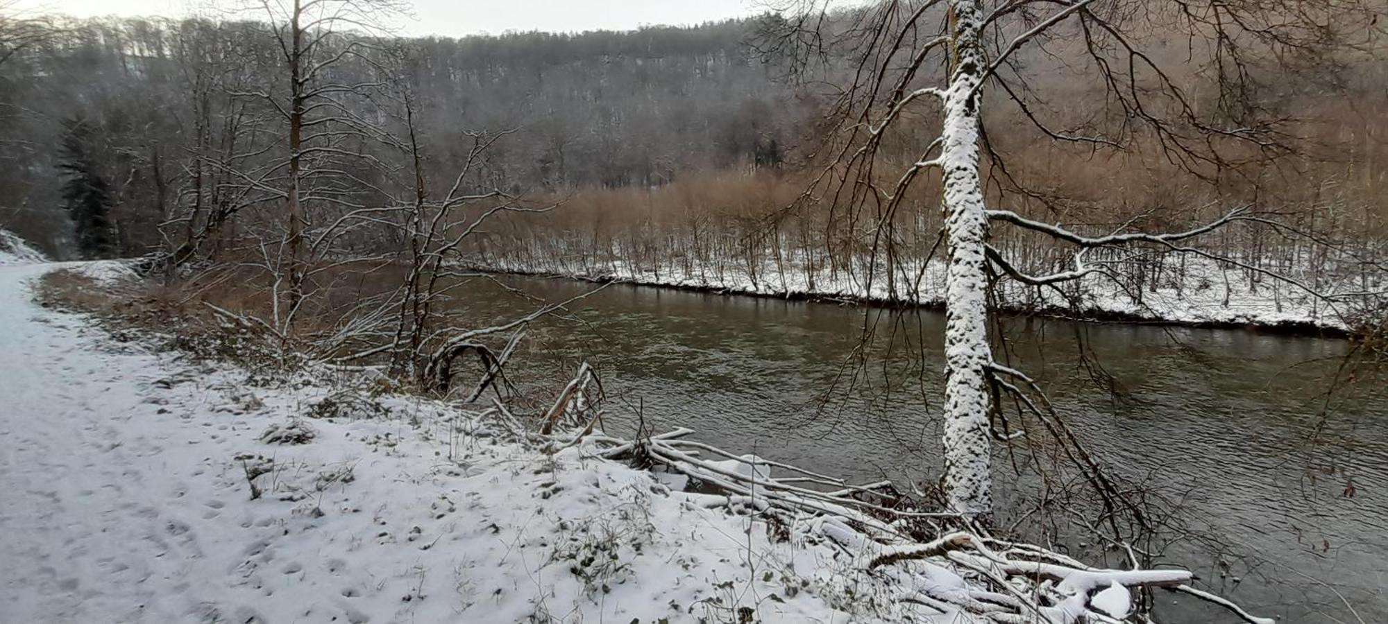 Le Sentier Des Lavandes Vresse-sur-Semois Eksteriør bilde