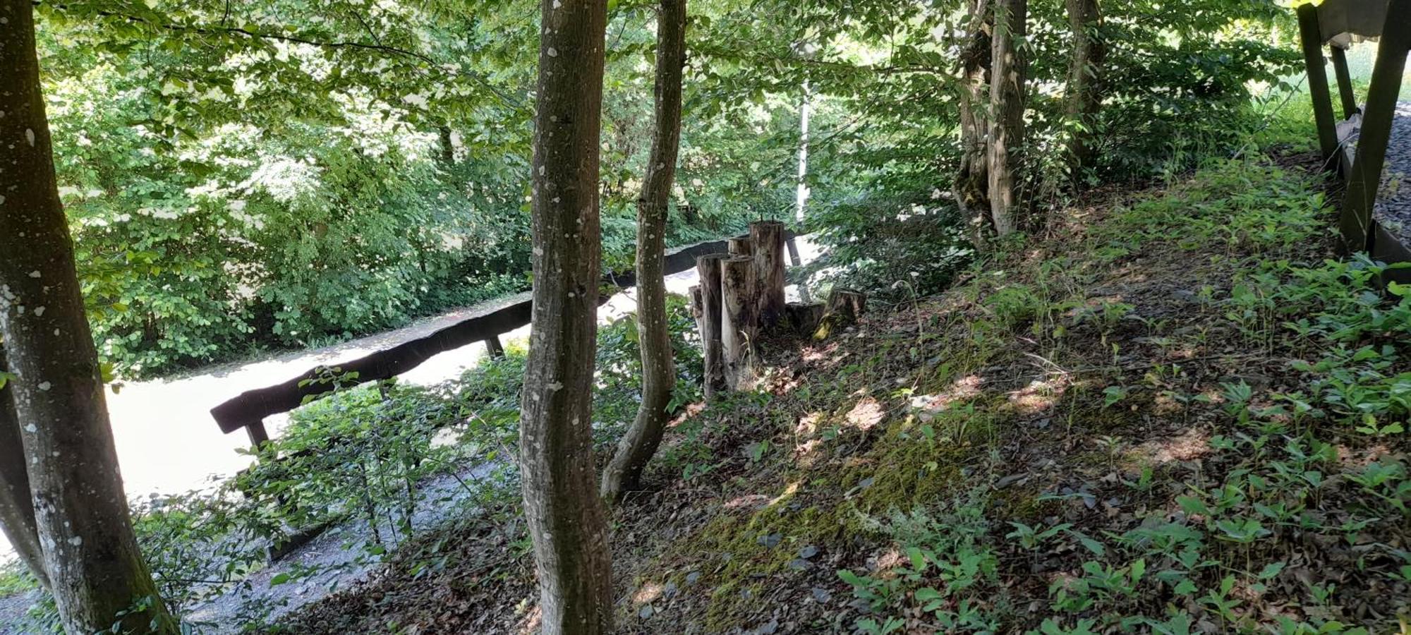 Le Sentier Des Lavandes Vresse-sur-Semois Eksteriør bilde