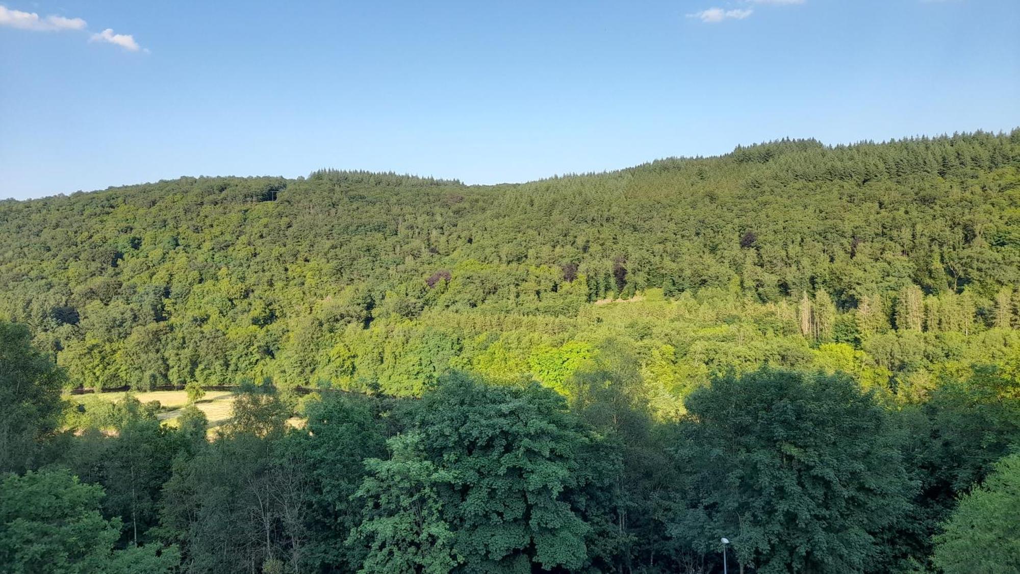 Le Sentier Des Lavandes Vresse-sur-Semois Eksteriør bilde