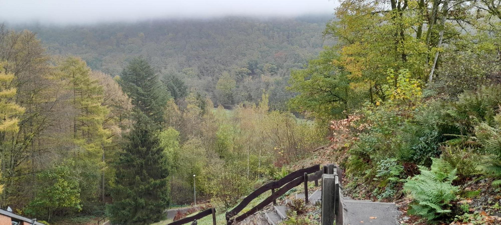 Le Sentier Des Lavandes Vresse-sur-Semois Eksteriør bilde