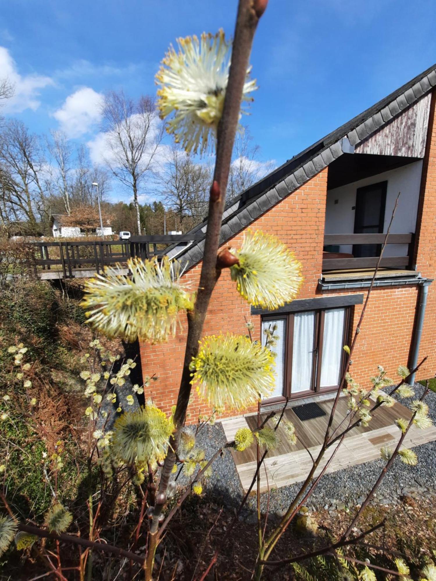 Le Sentier Des Lavandes Vresse-sur-Semois Eksteriør bilde